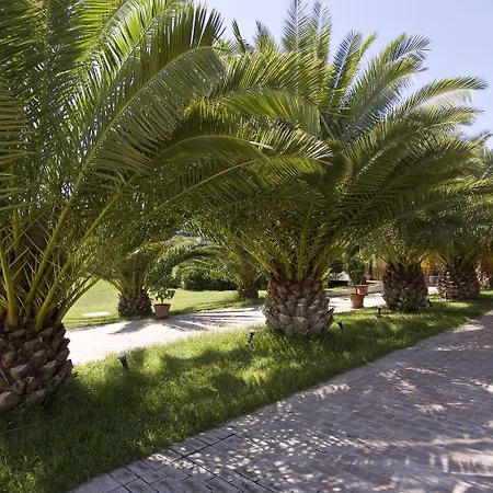 Finis Africae 세니갈리아